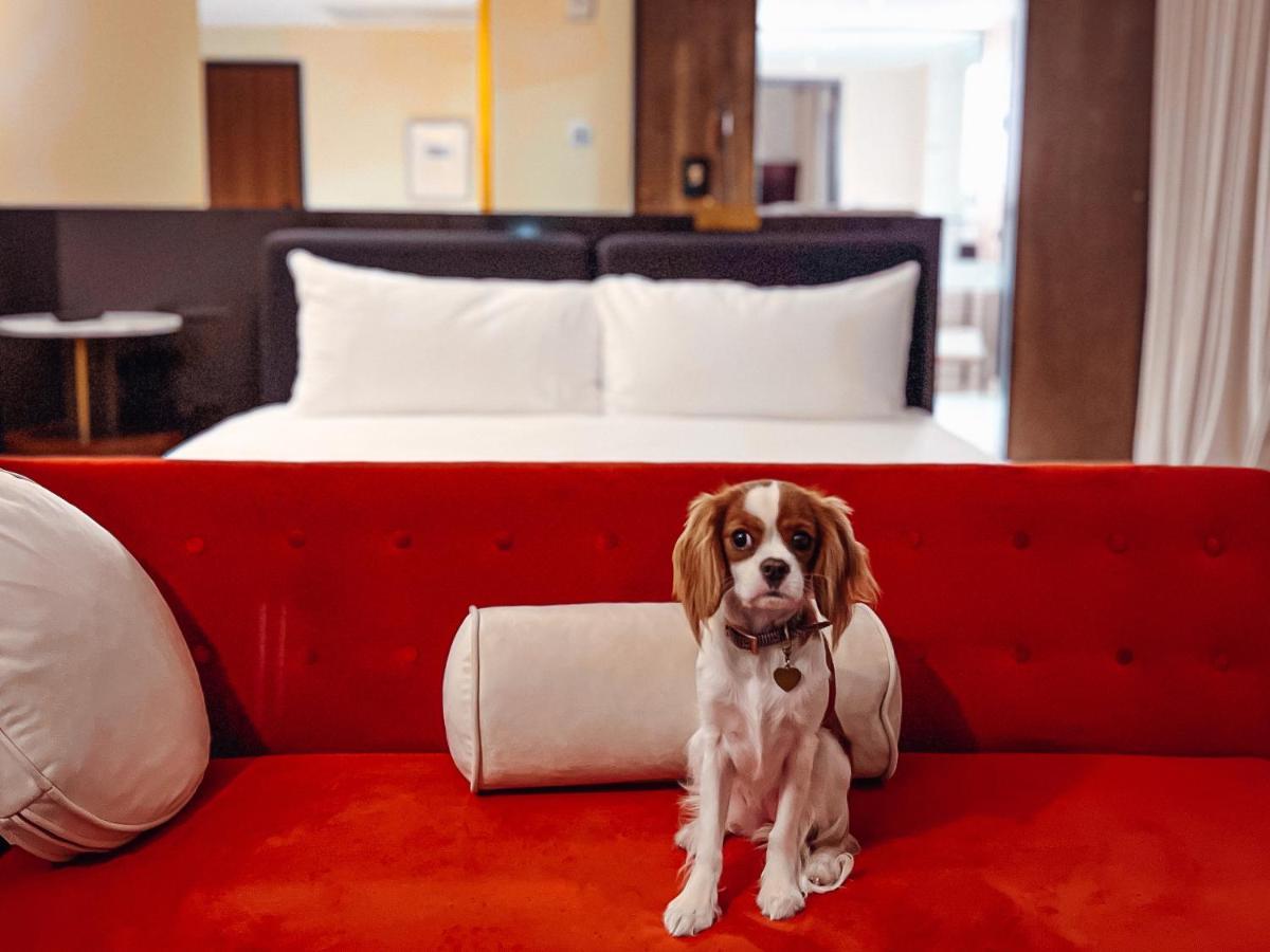 Hotel Haya Тампа Экстерьер фото